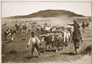 Beş inçlik kuşatma silahlarını gündeme getirmek, 